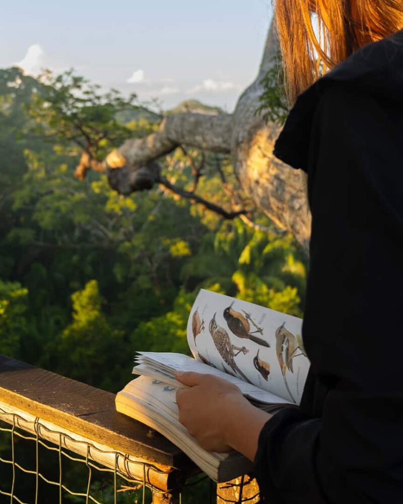 Study Abroad